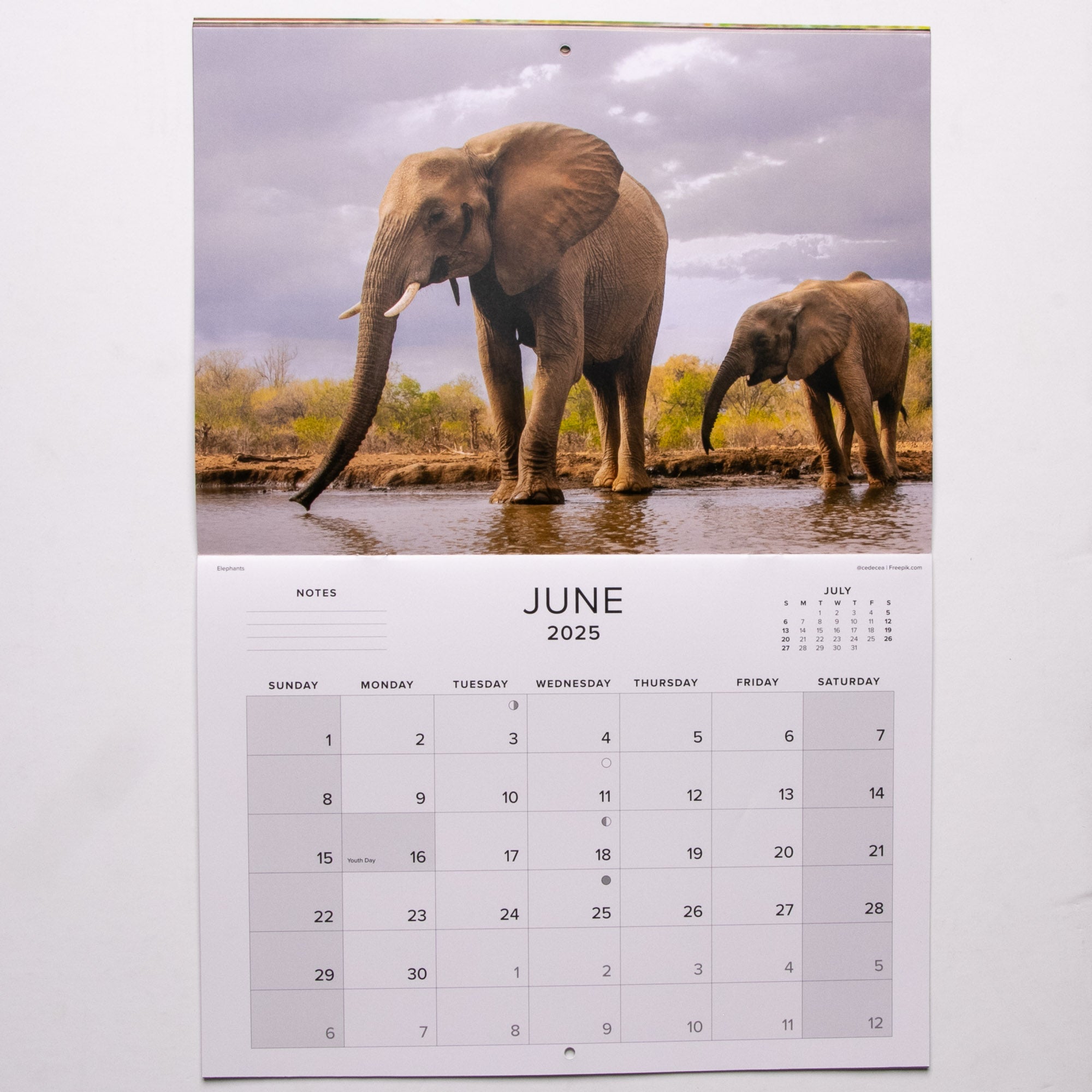 2025 The Big Five of Southern Africa Calendar - Large