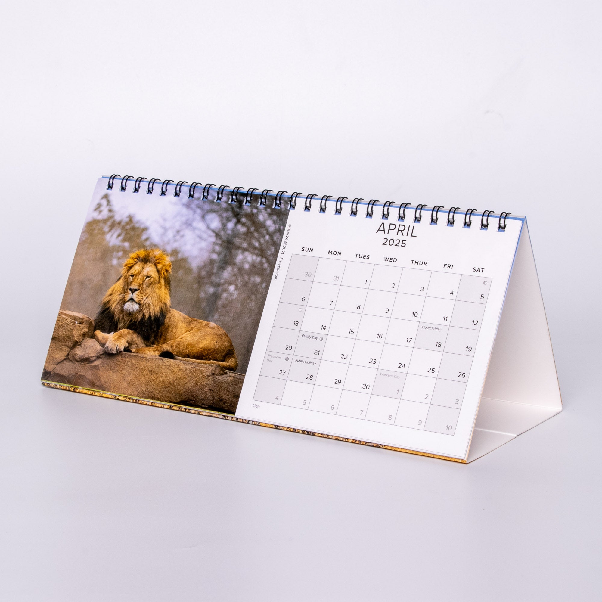 2025 South Africa Landscapes and Wildlife - Desk Top Calendar Medium