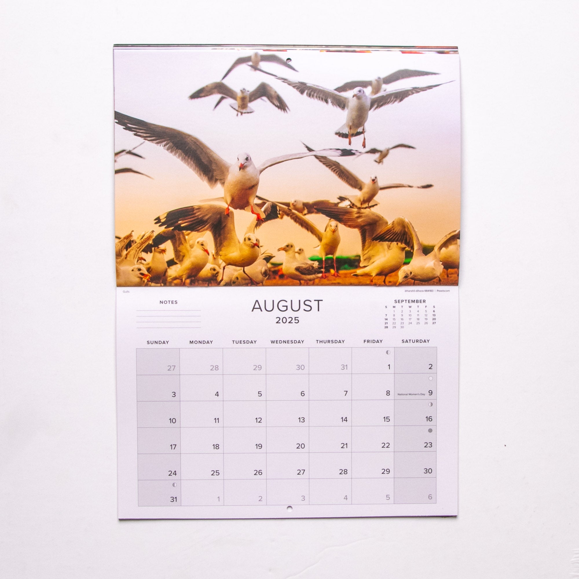 2025 Birds of Southern Africa Calendar - Medium