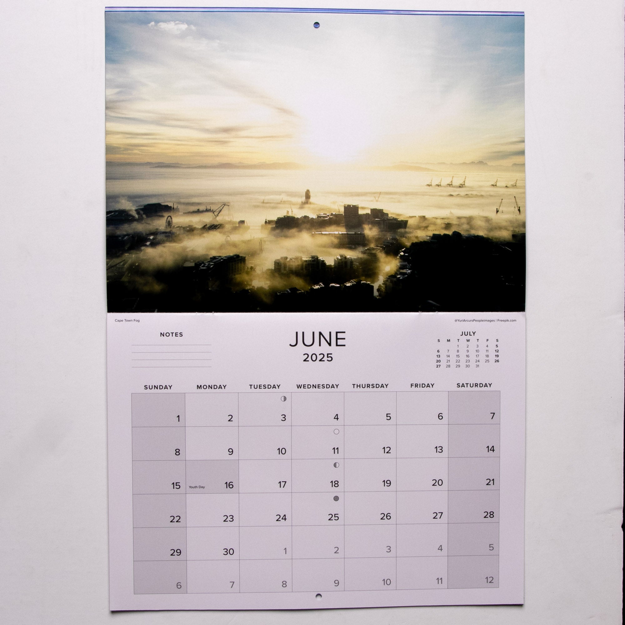 2025 Cape Town The Mother City Calendar - Large