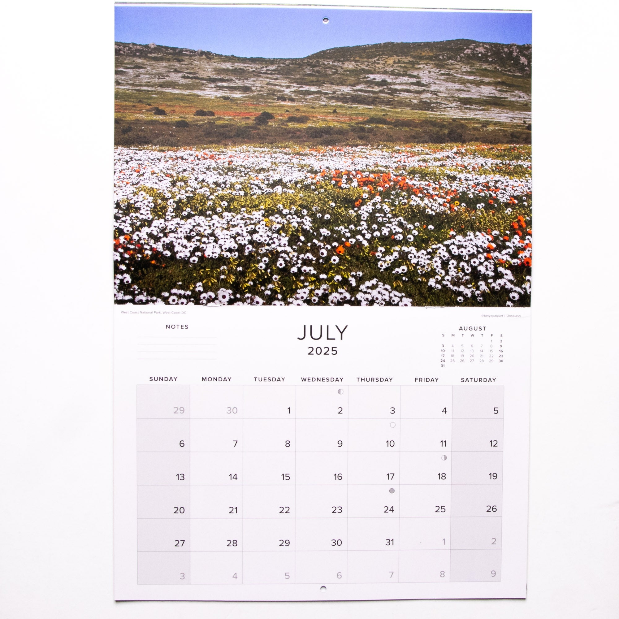 2025 South Africa Beautiful South Africa Calendar -  Large