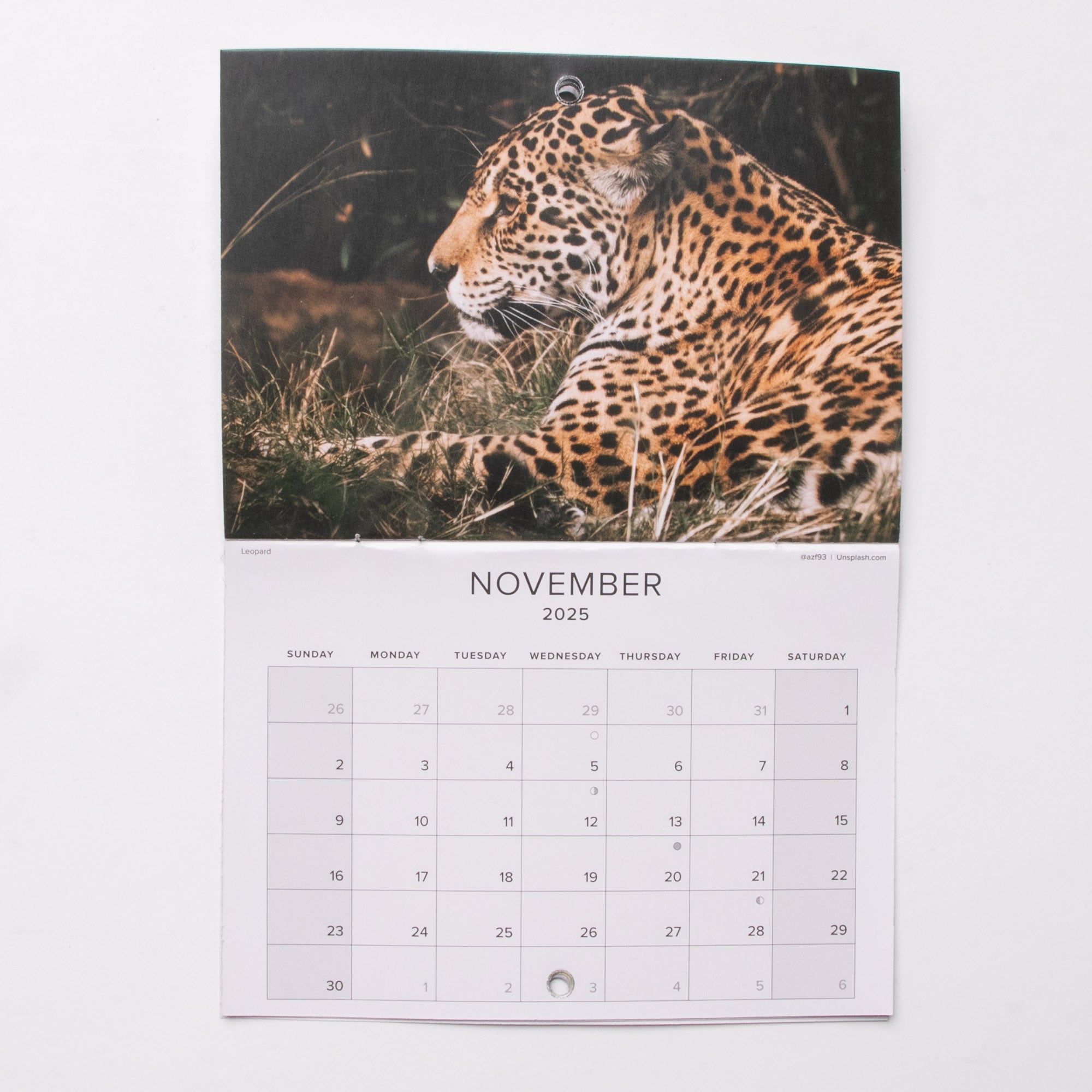 2025 South Africa's Wildlife Calendar - Small