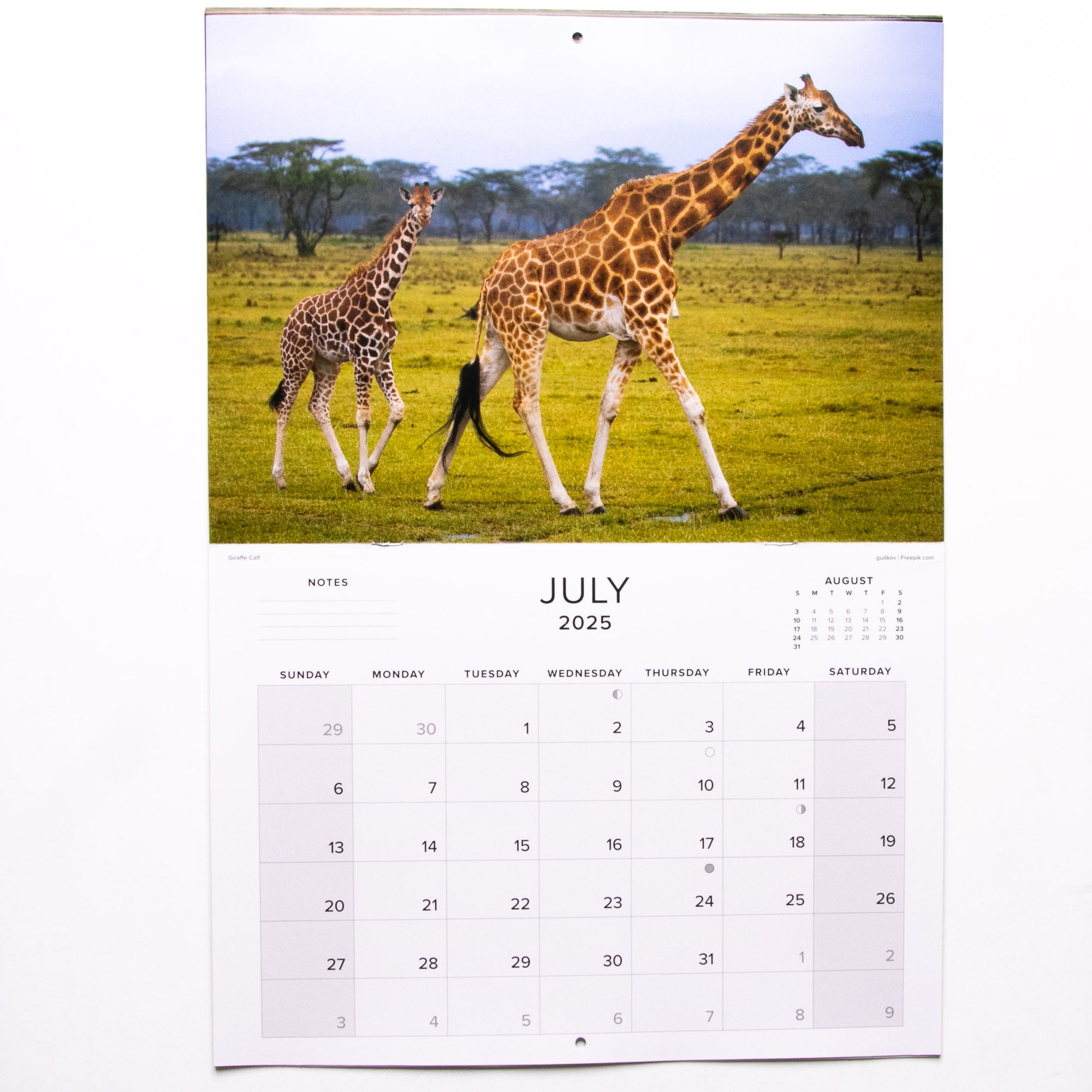 2025 Baby Wildlife of Southern Africa Calendar - Large