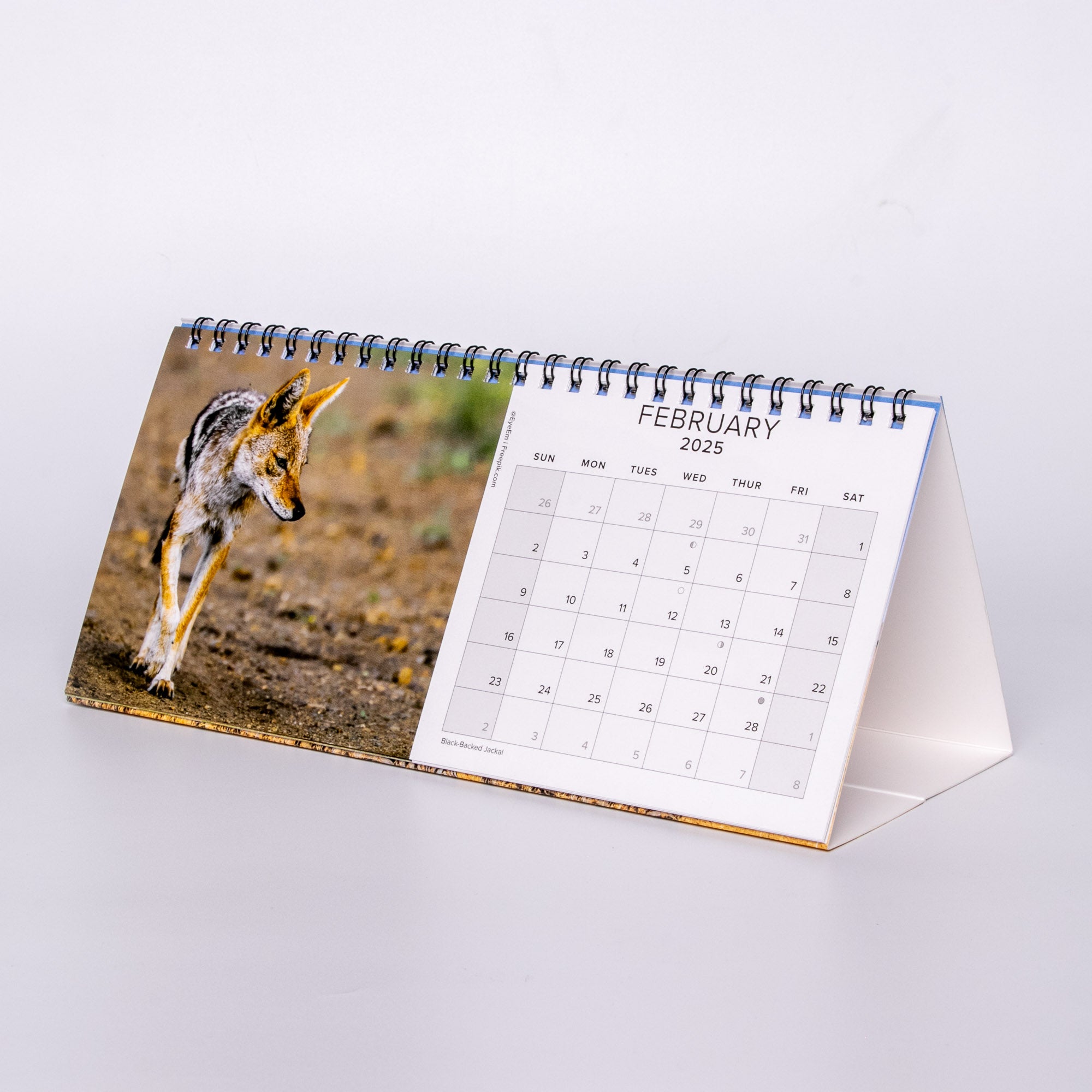 2025 South Africa Landscapes and Wildlife - Desk Top Calendar Medium