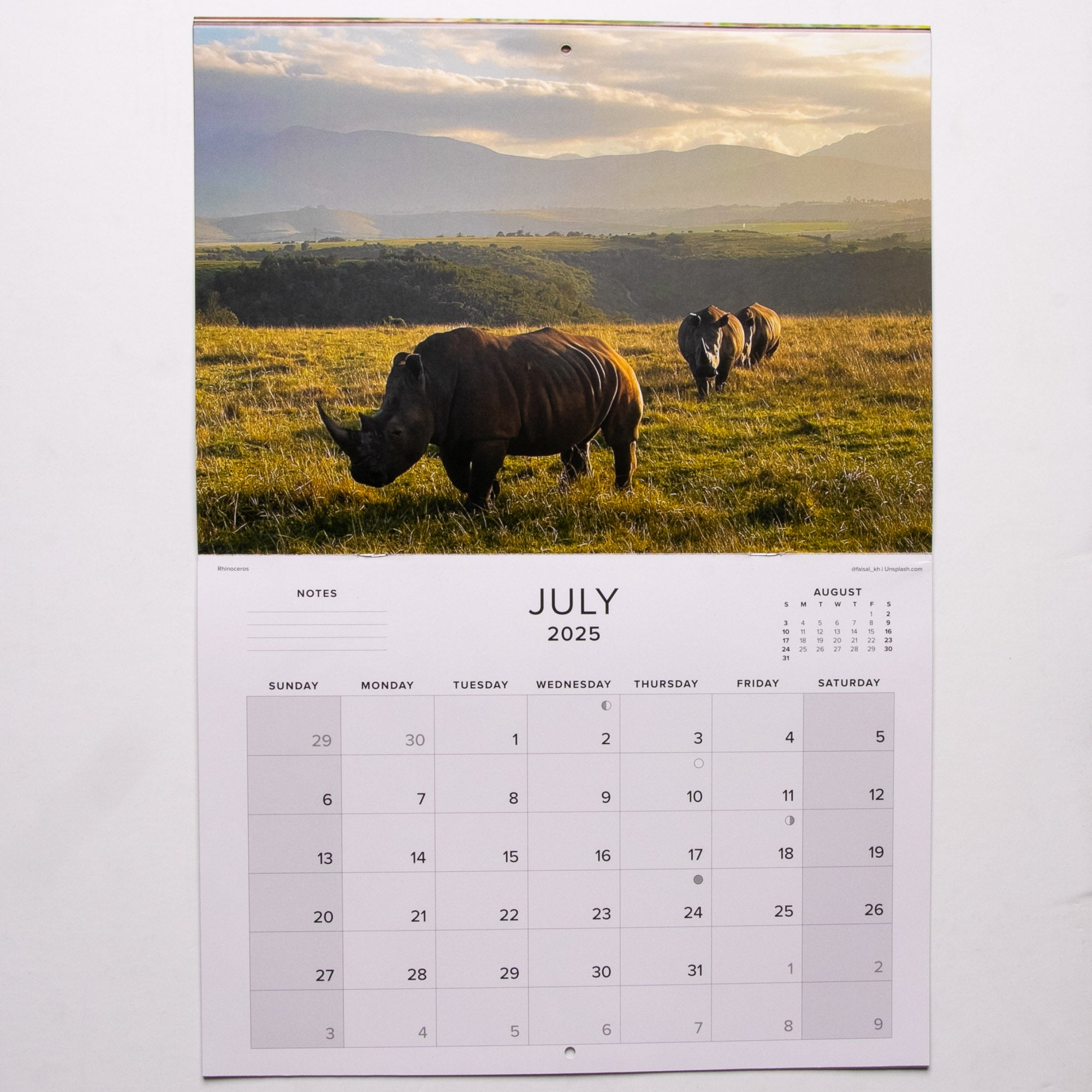 2025 The Big Five of Southern Africa Calendar - Large