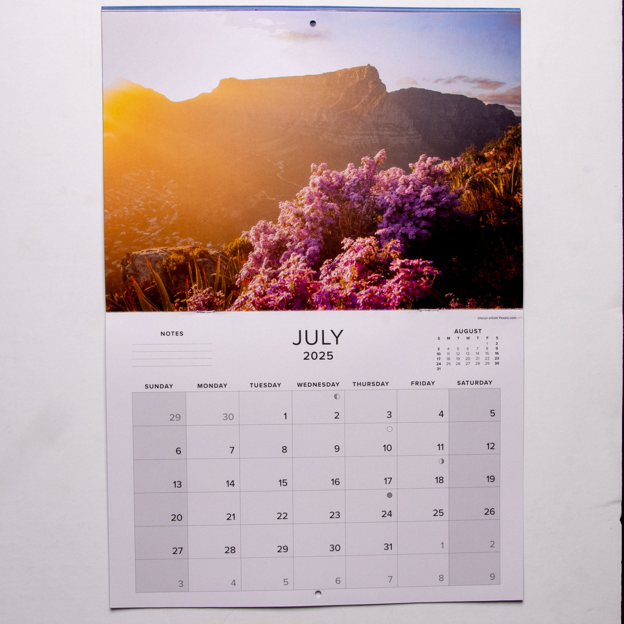 2025 Table Mountain the Mountain in the Sea Calendar - Large