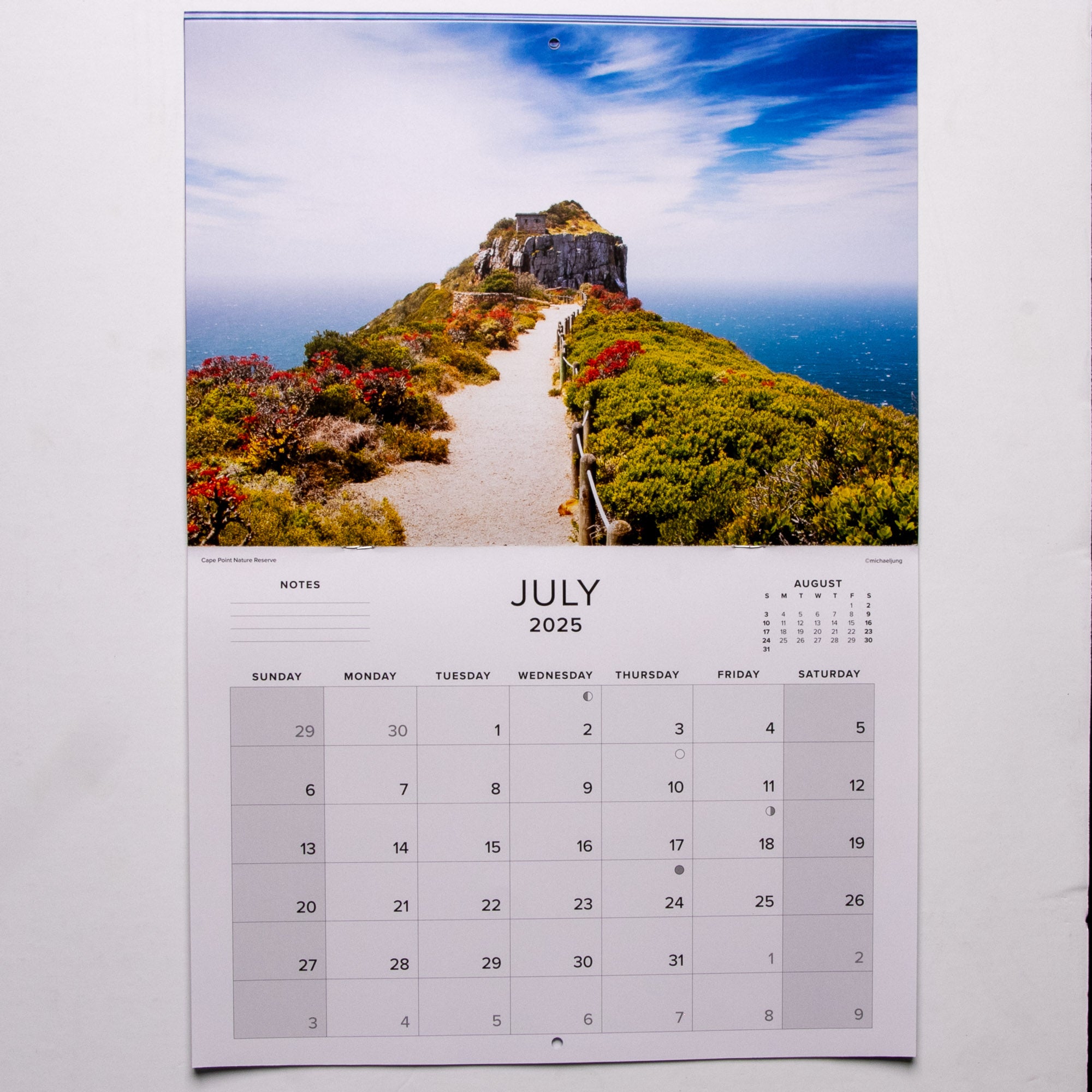 2025 Cape Town The Mother City Calendar - Large