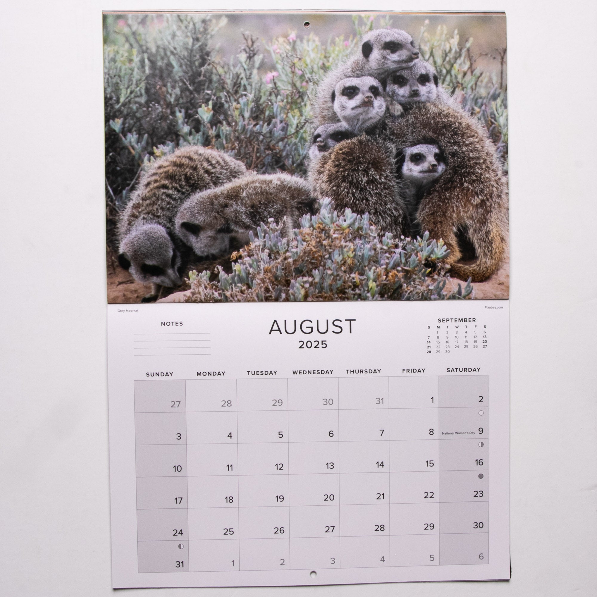 2025 Wildlife South Africa Calendar - Large