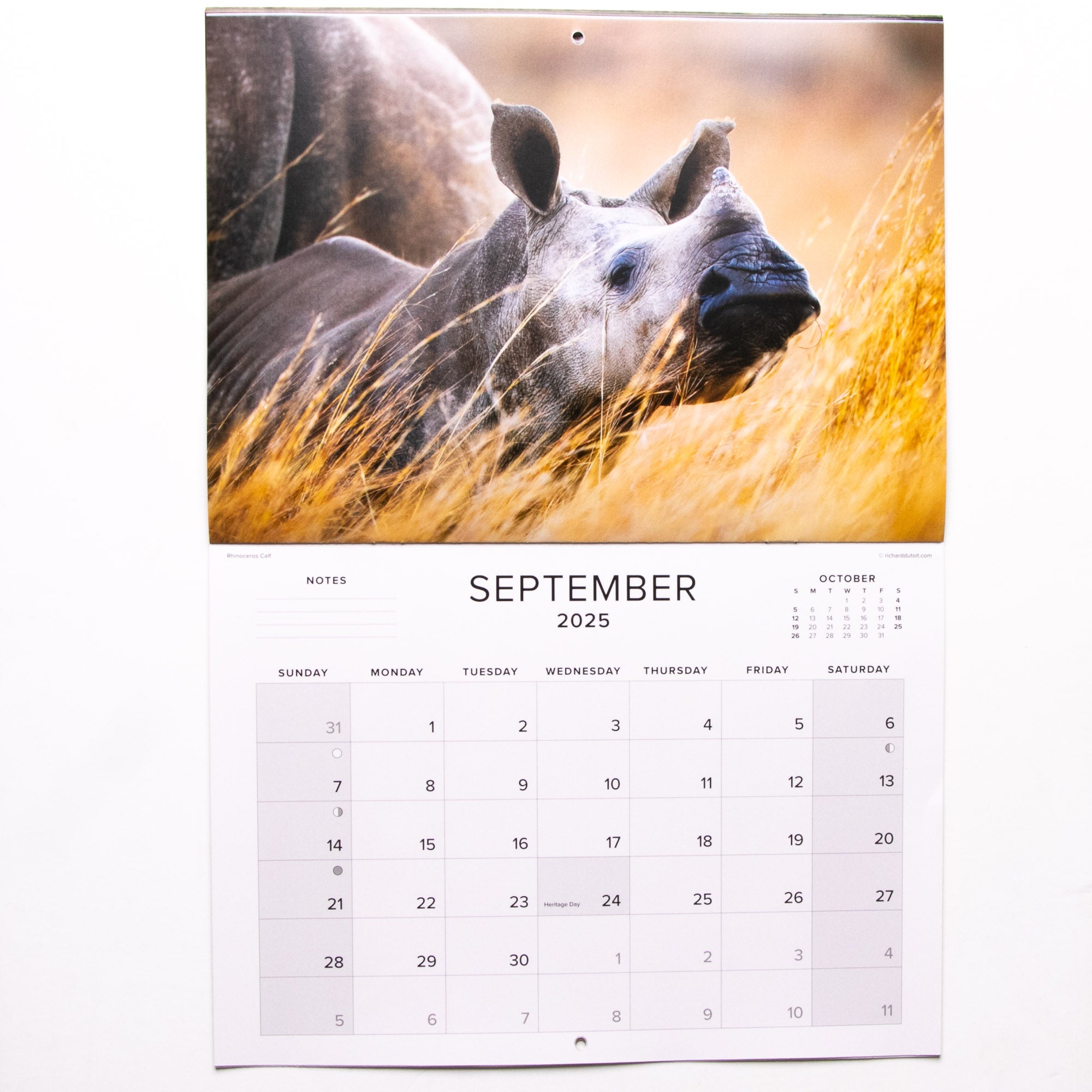 2025 Baby Wildlife of Southern Africa Calendar - Large