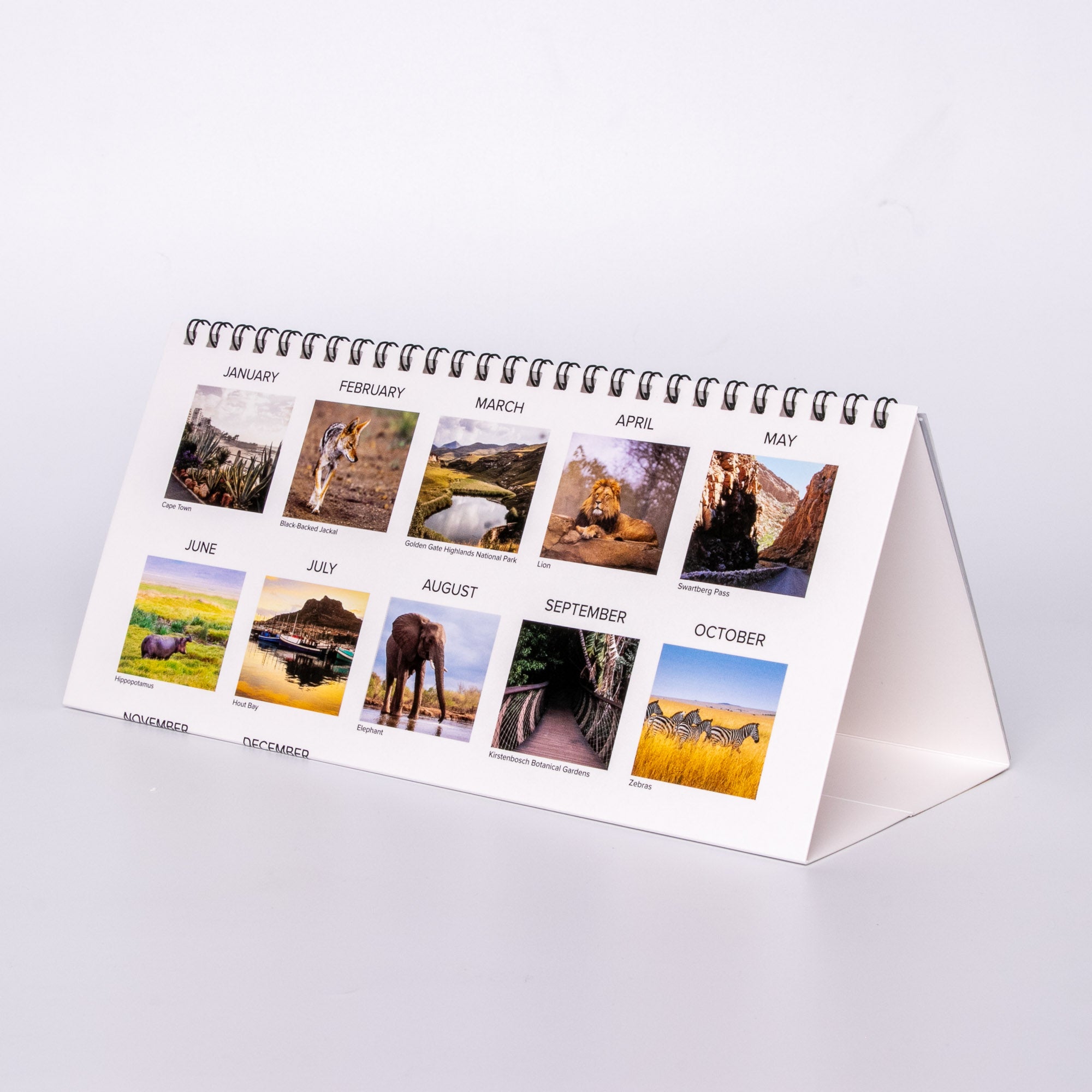 2025 South Africa Landscapes and Wildlife - Desk Top Calendar Medium