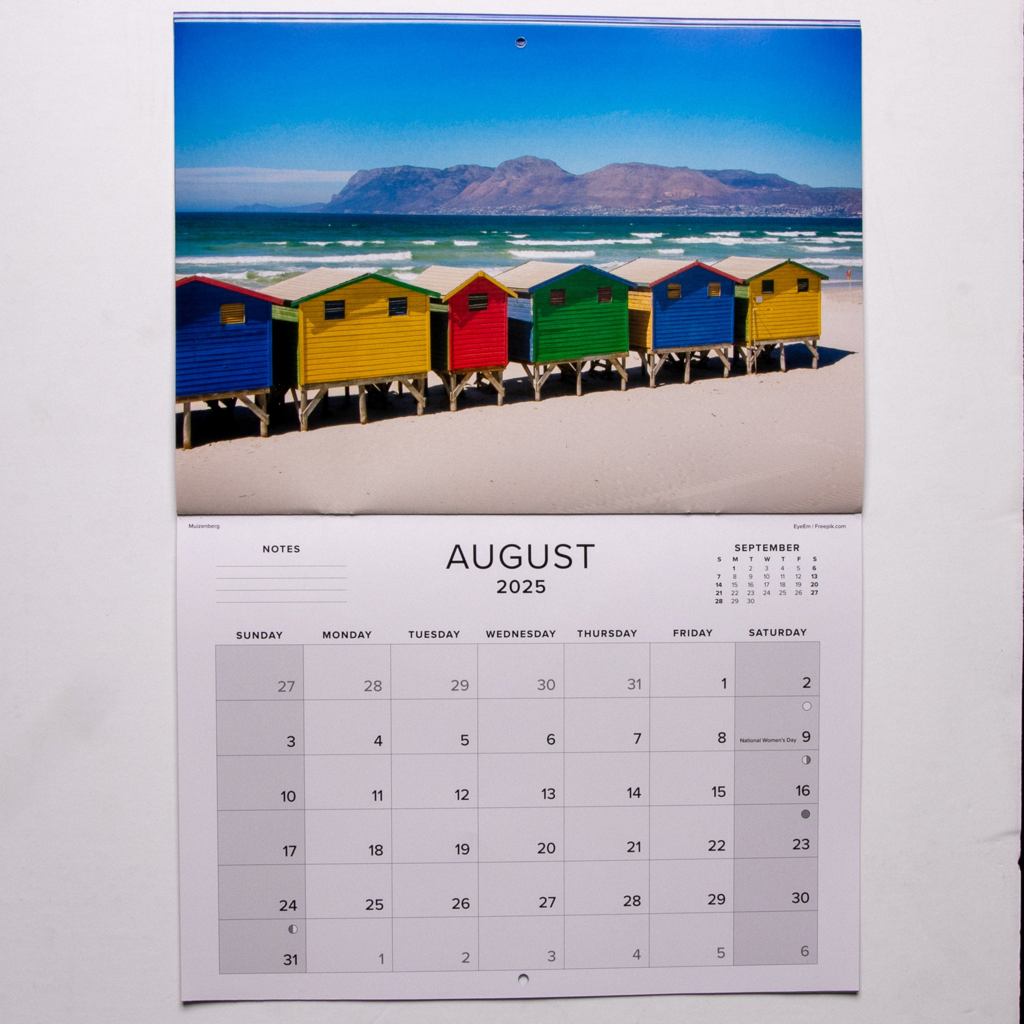 2025 Cape Town The Mother City Calendar - Large