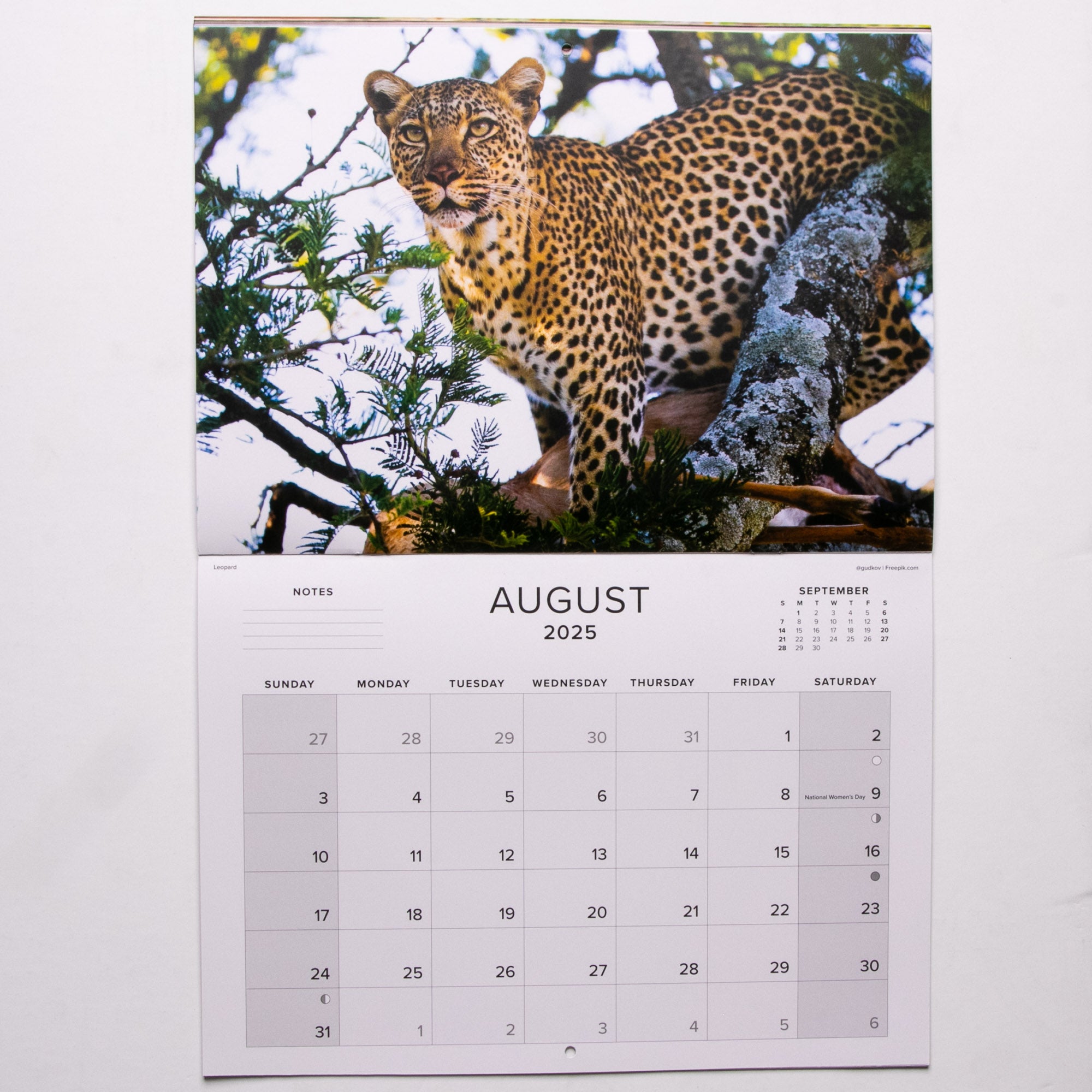 2025 The Big Five of Southern Africa Calendar - Large