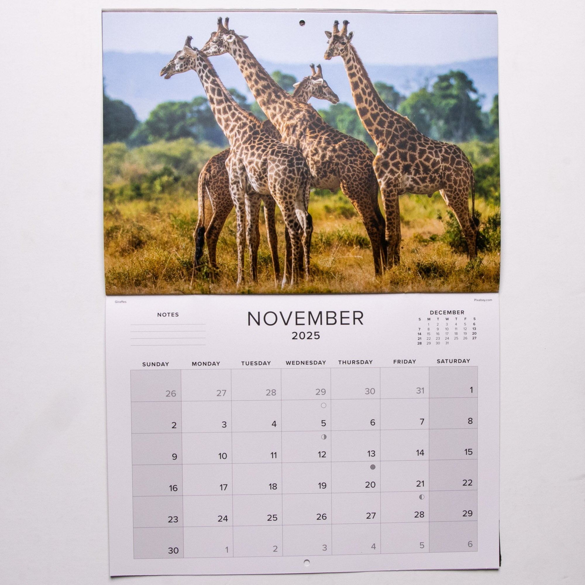 2025 Wildlife South Africa Calendar - Large