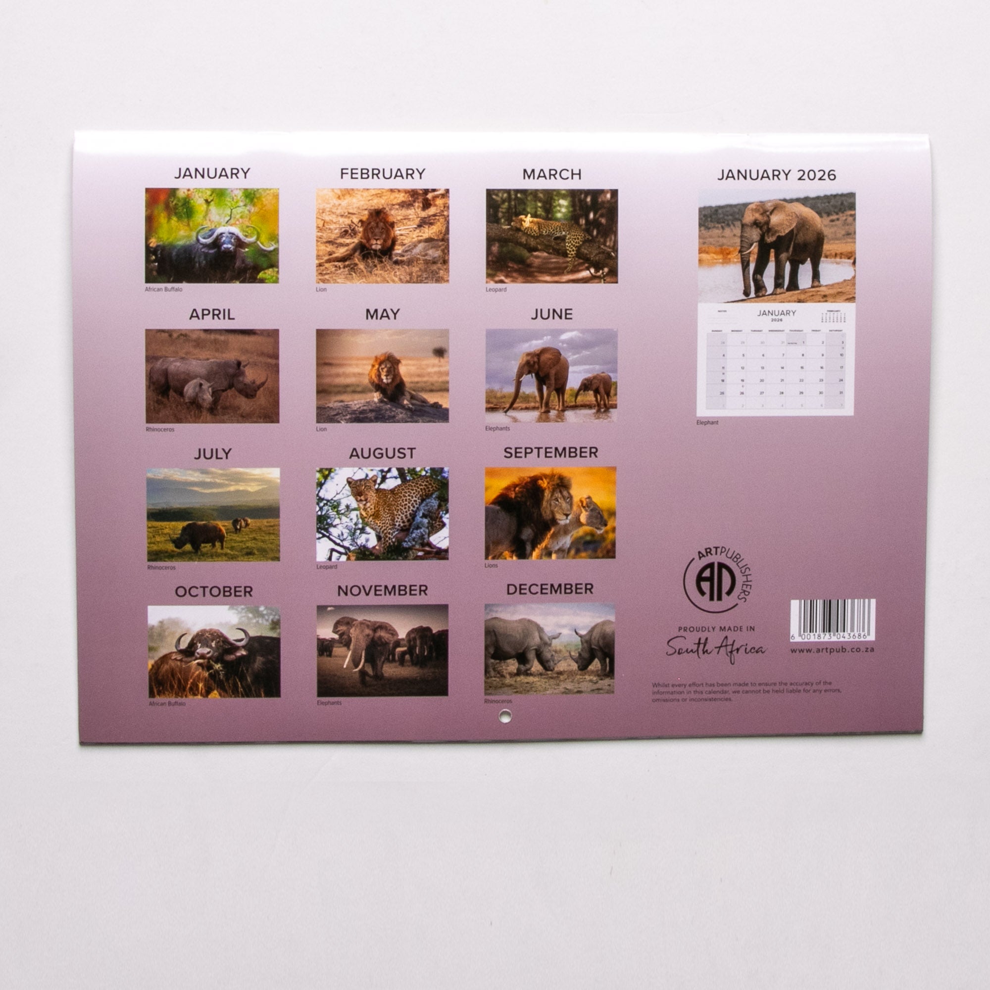 2025 The Big Five of Southern Africa Calendar - Large