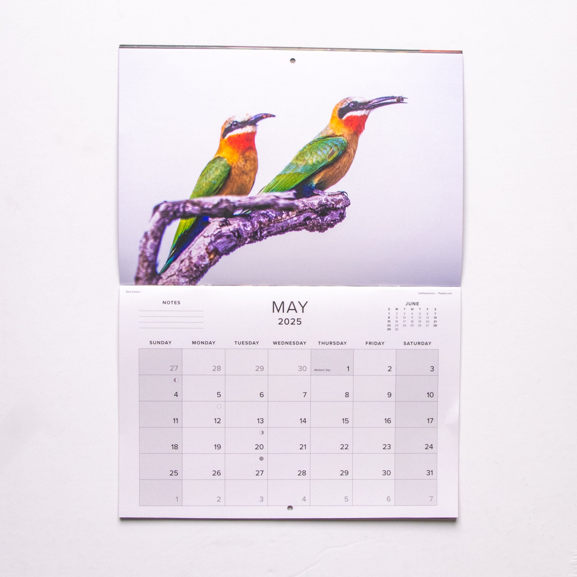 2025 Birds of Southern Africa Calendar - Medium