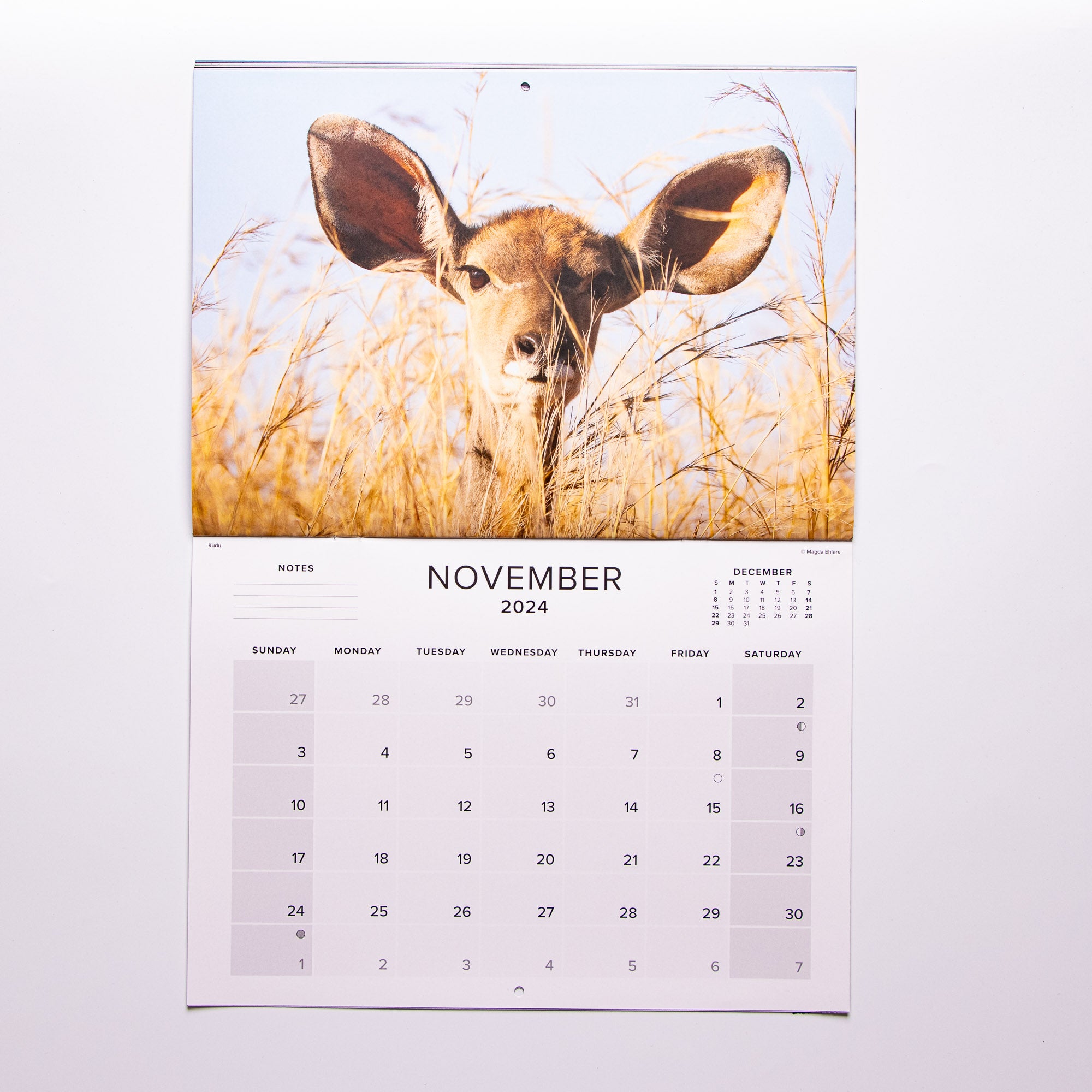 2024 Wildlife South Africa Calendar - Large
