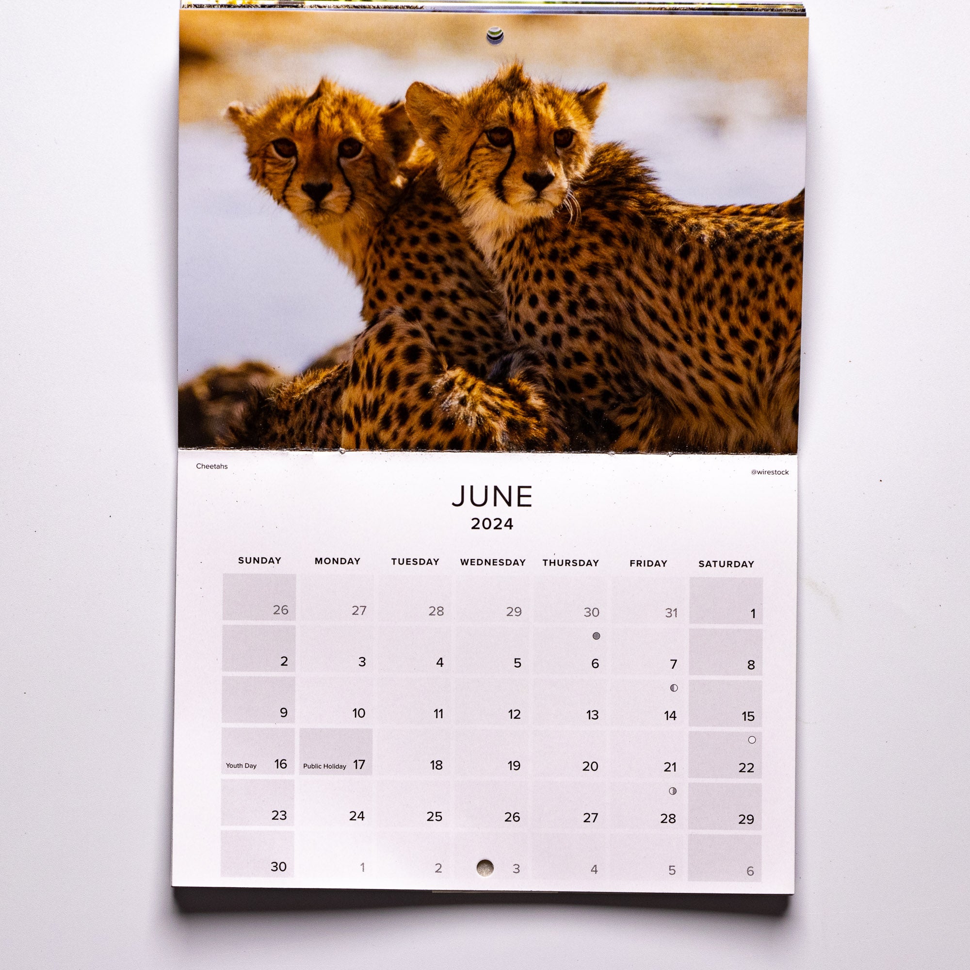 2024 Wildlife South Africa Calendar - Small