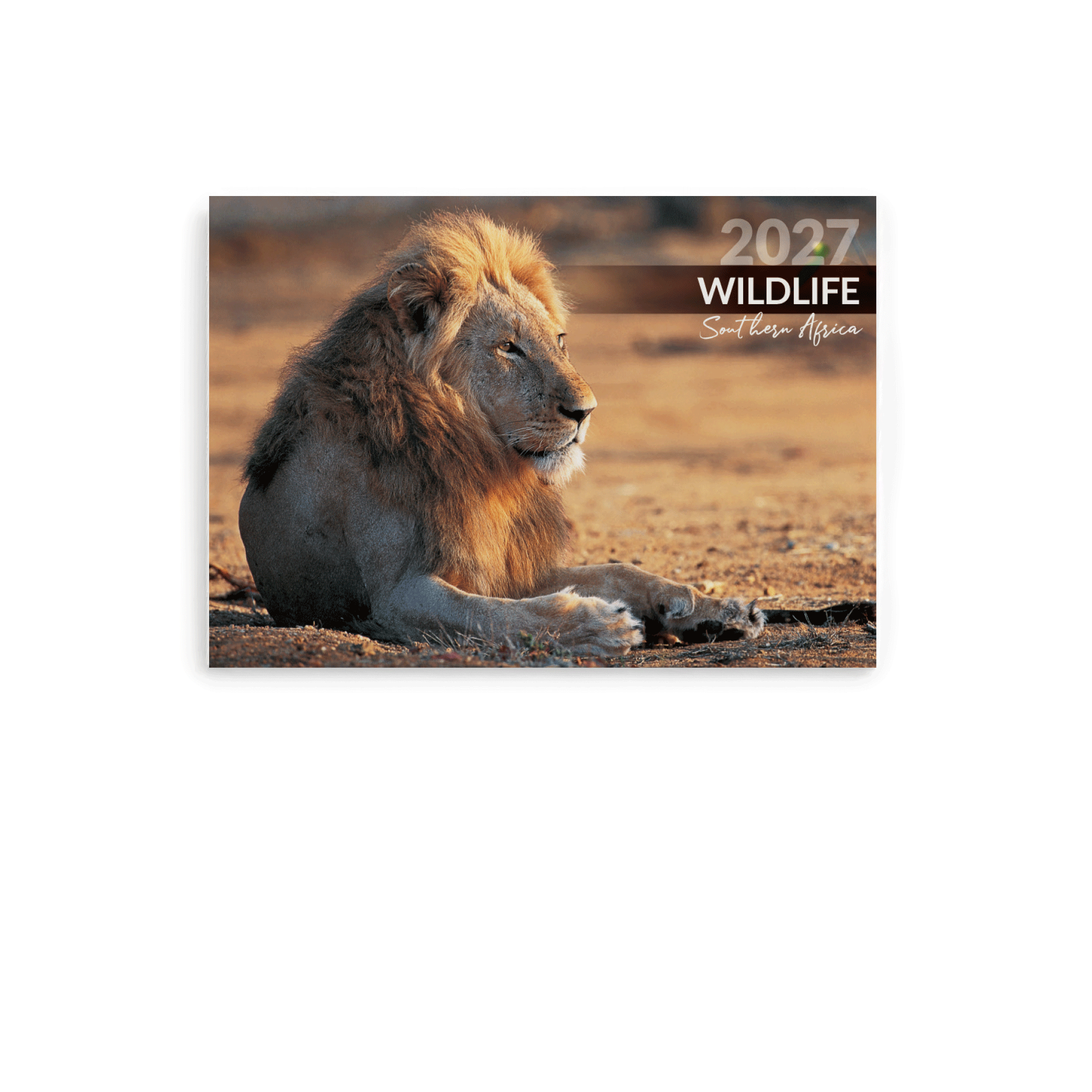 2027 Medium Annual Calendar - Wildlife