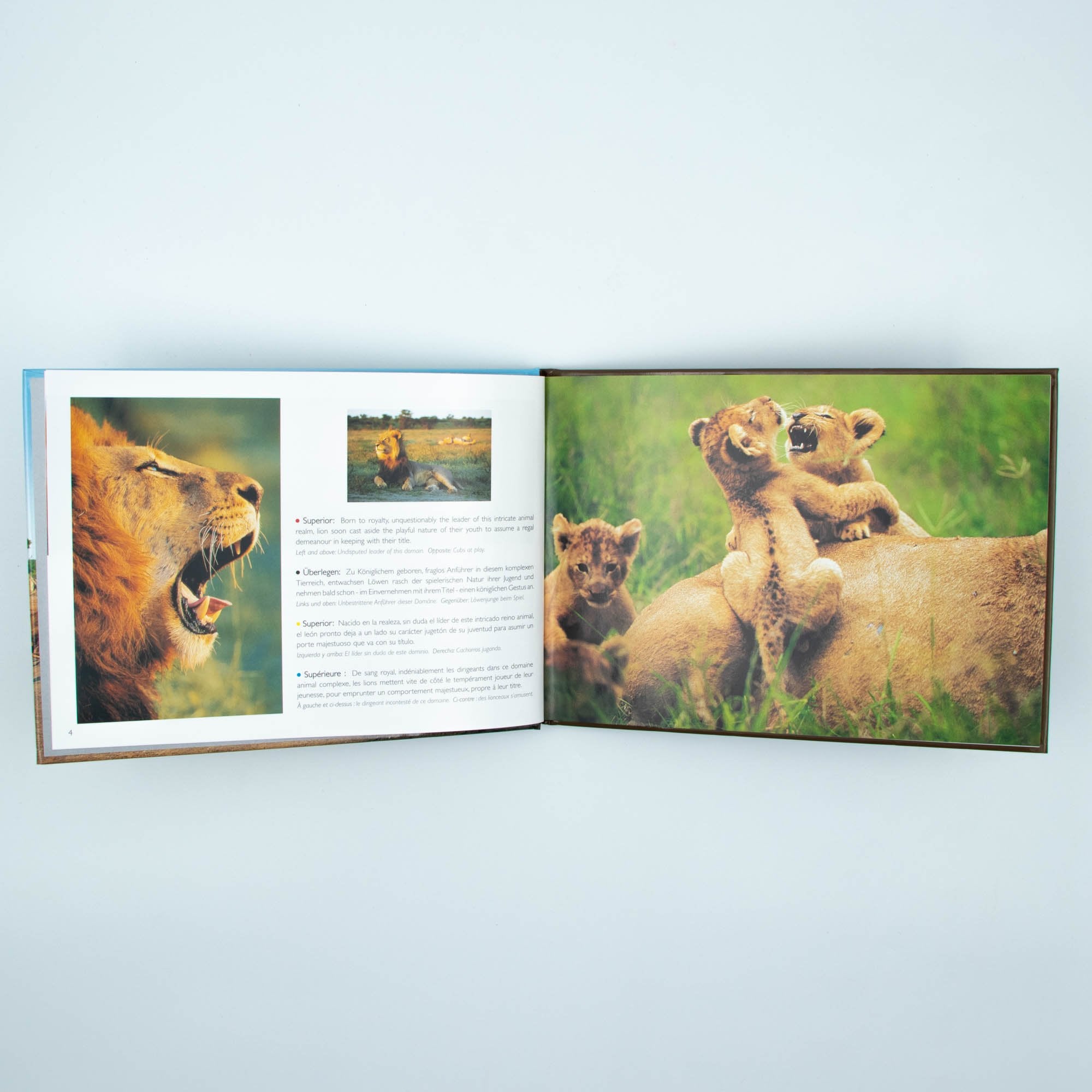 Wild Life Hard Cover Coffee Small Table Book