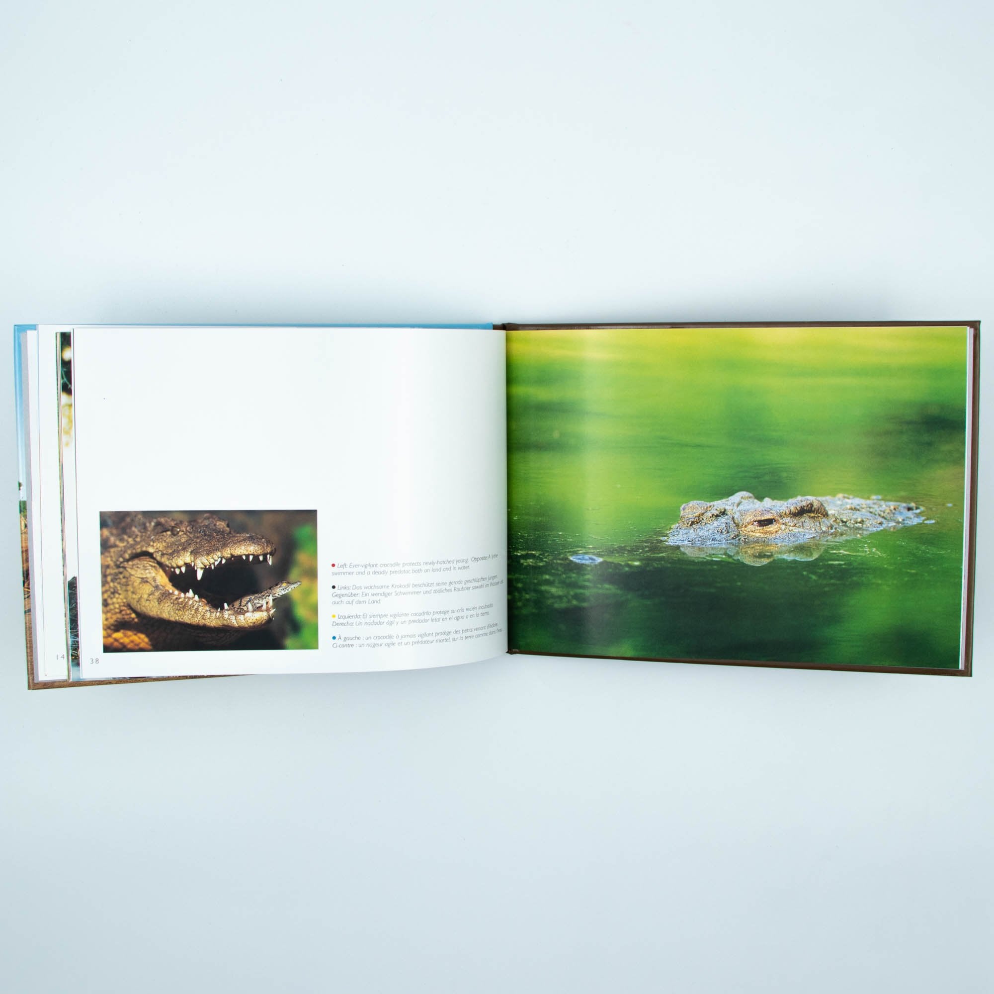 Wild Life Hard Cover Coffee Small Table Book