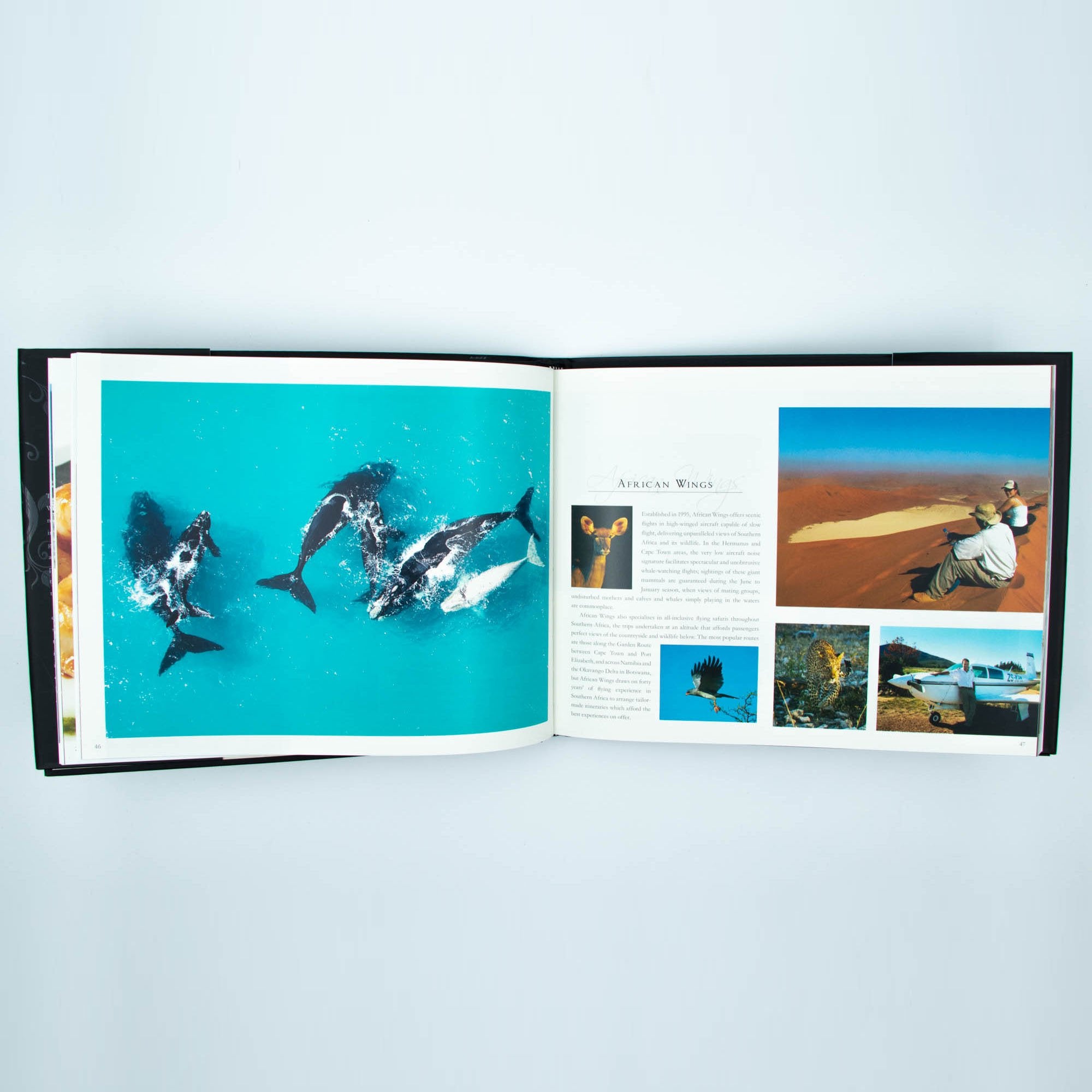 The Cape Whale Coast Hard Cover with Spot UV sleeve Coffee Table Book